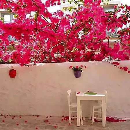 Otel Alayaz