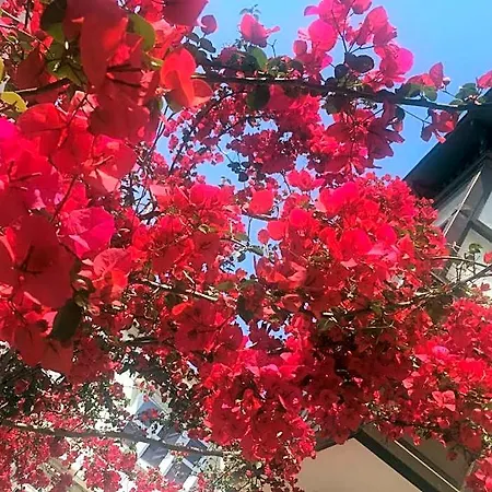 Alayaz Bed and breakfast Çeşme